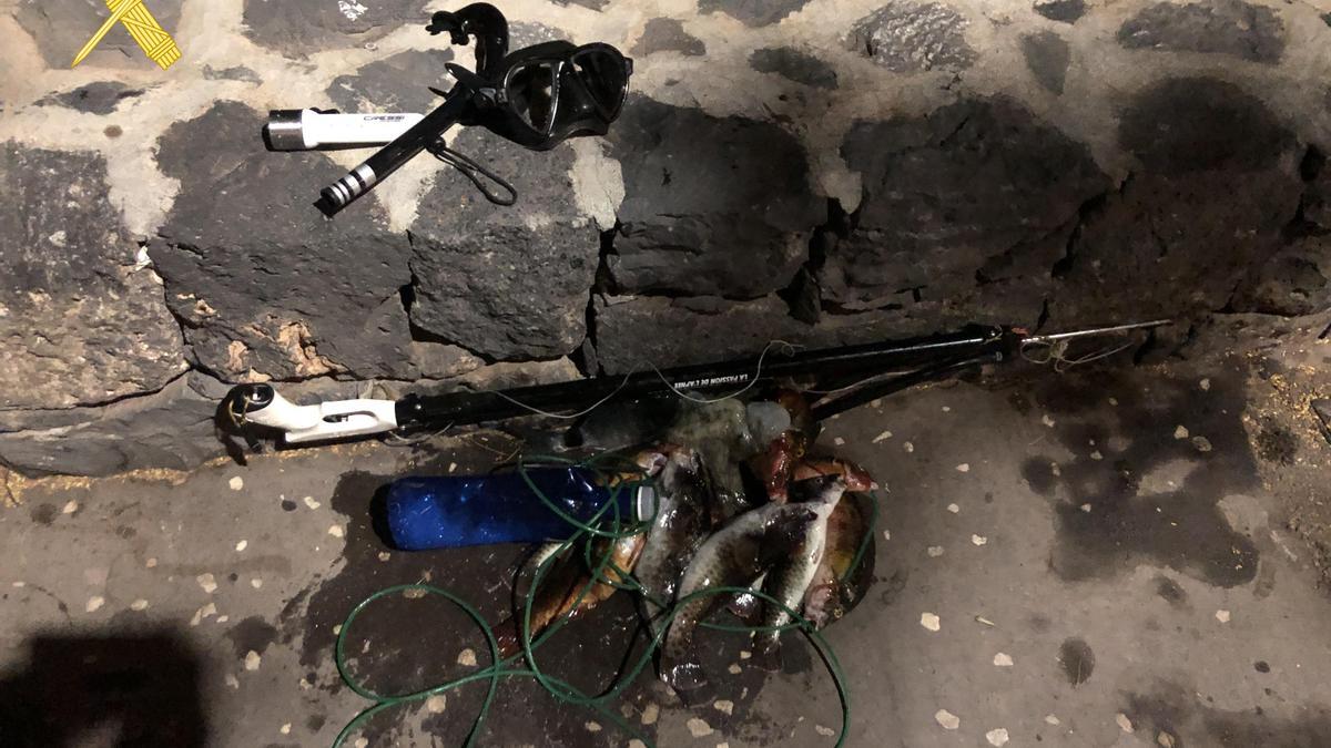 Capturan a pescador furtivo con fusil y especies ilegales en Tenerife