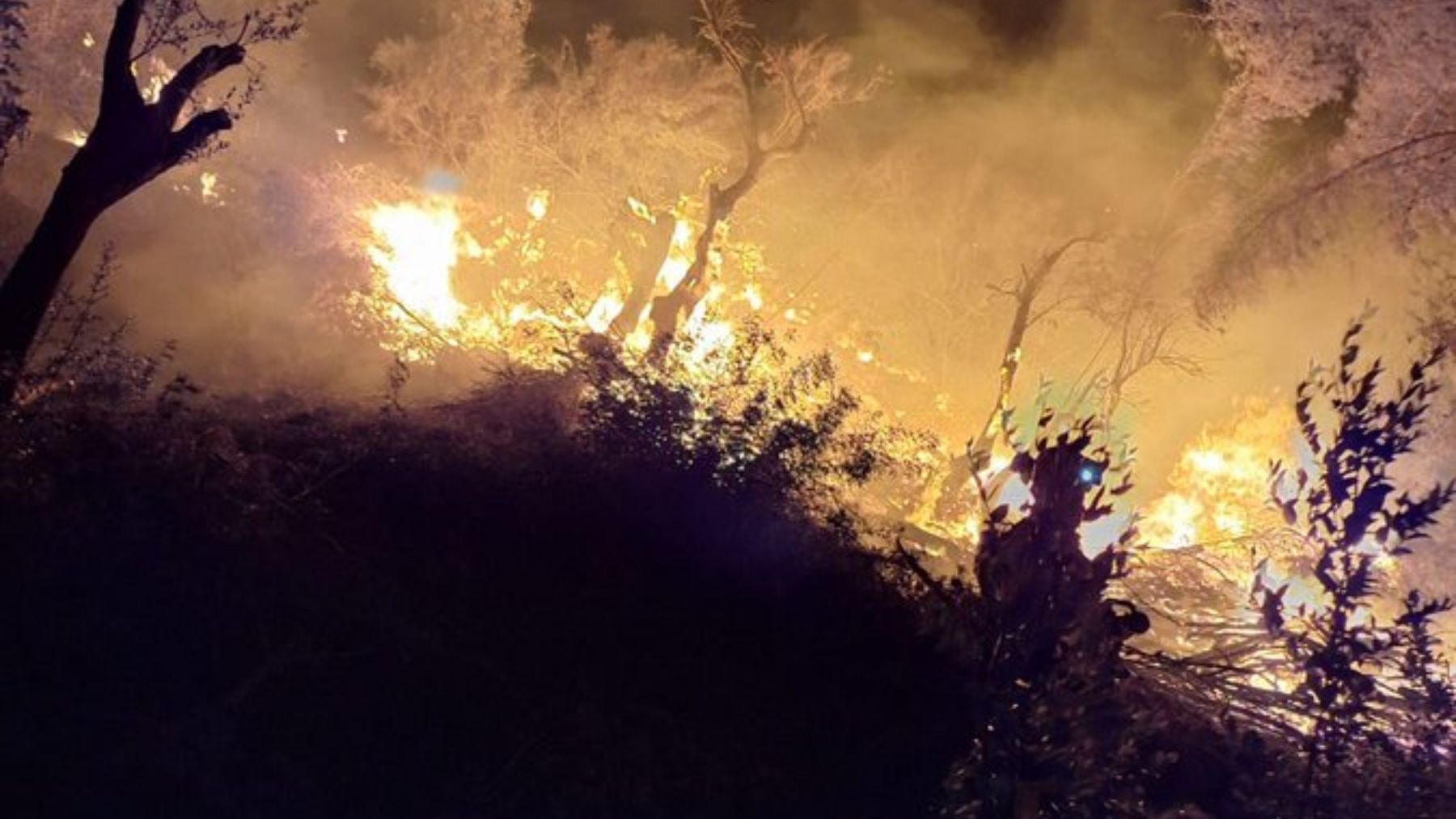 Ibanat y Bomberos de Mallorca trabajan en la extinción de un incendio forestal en Bens d’Avall, Sóller
