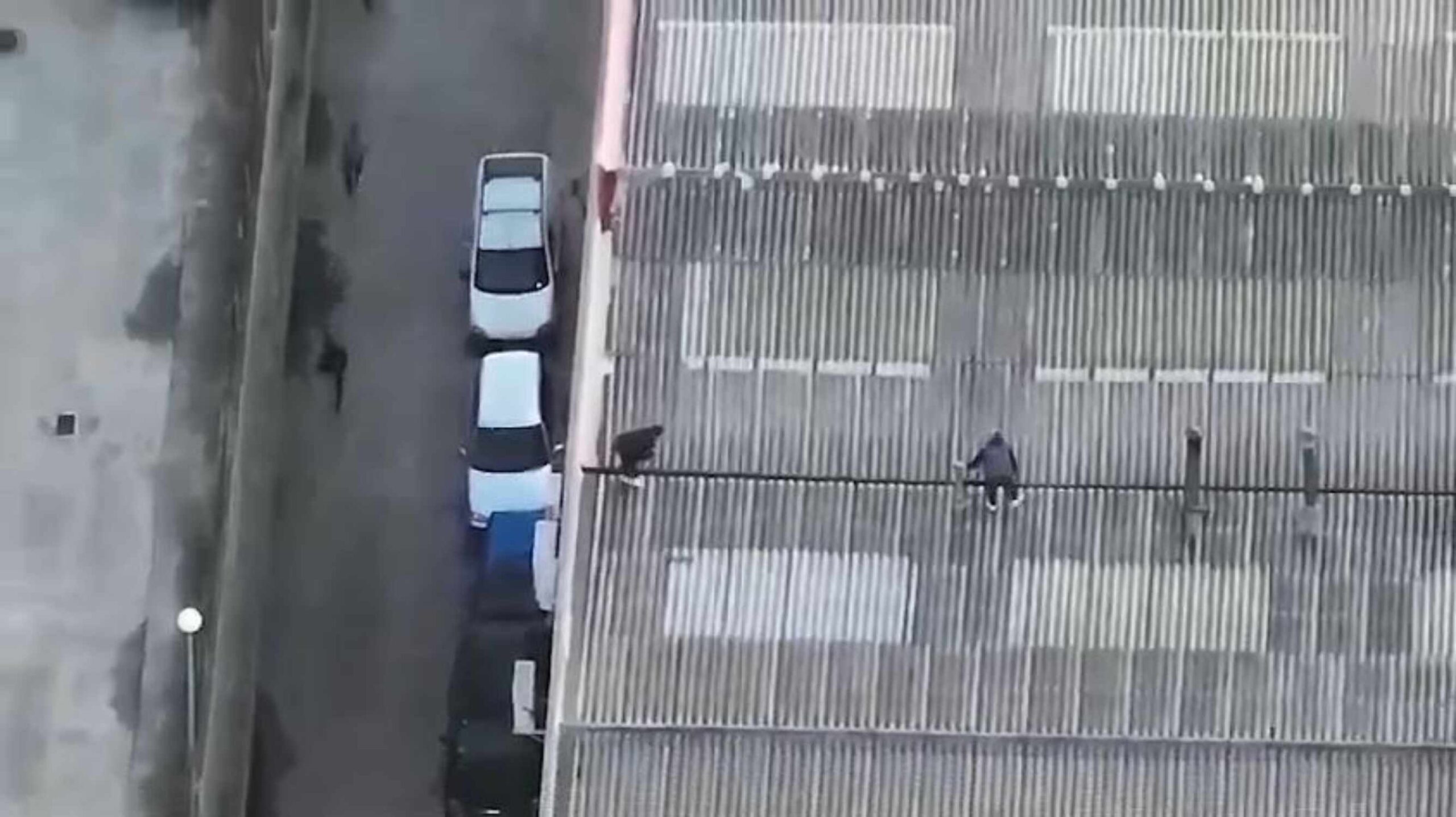 Desmantelada la mayor plantación de marihuana en Igualada: Tres detenidos y más de 3.800 plantas incautadas