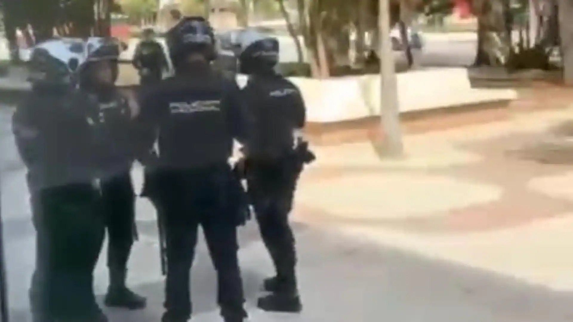 Detenido el líder de Los Dalton en un intento de robo en Málaga