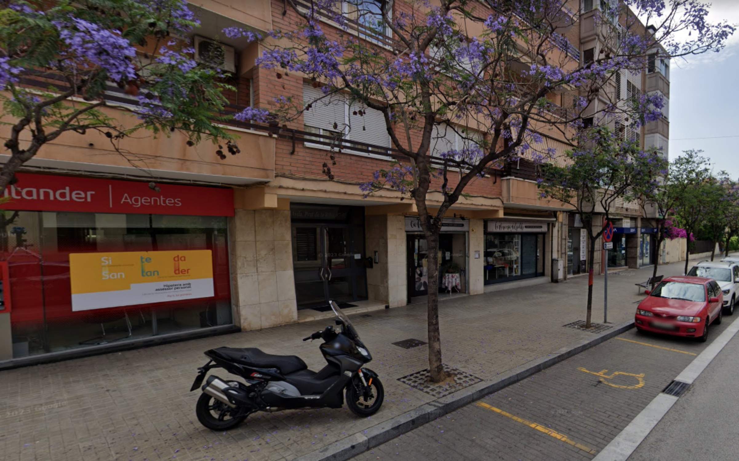 Palleja