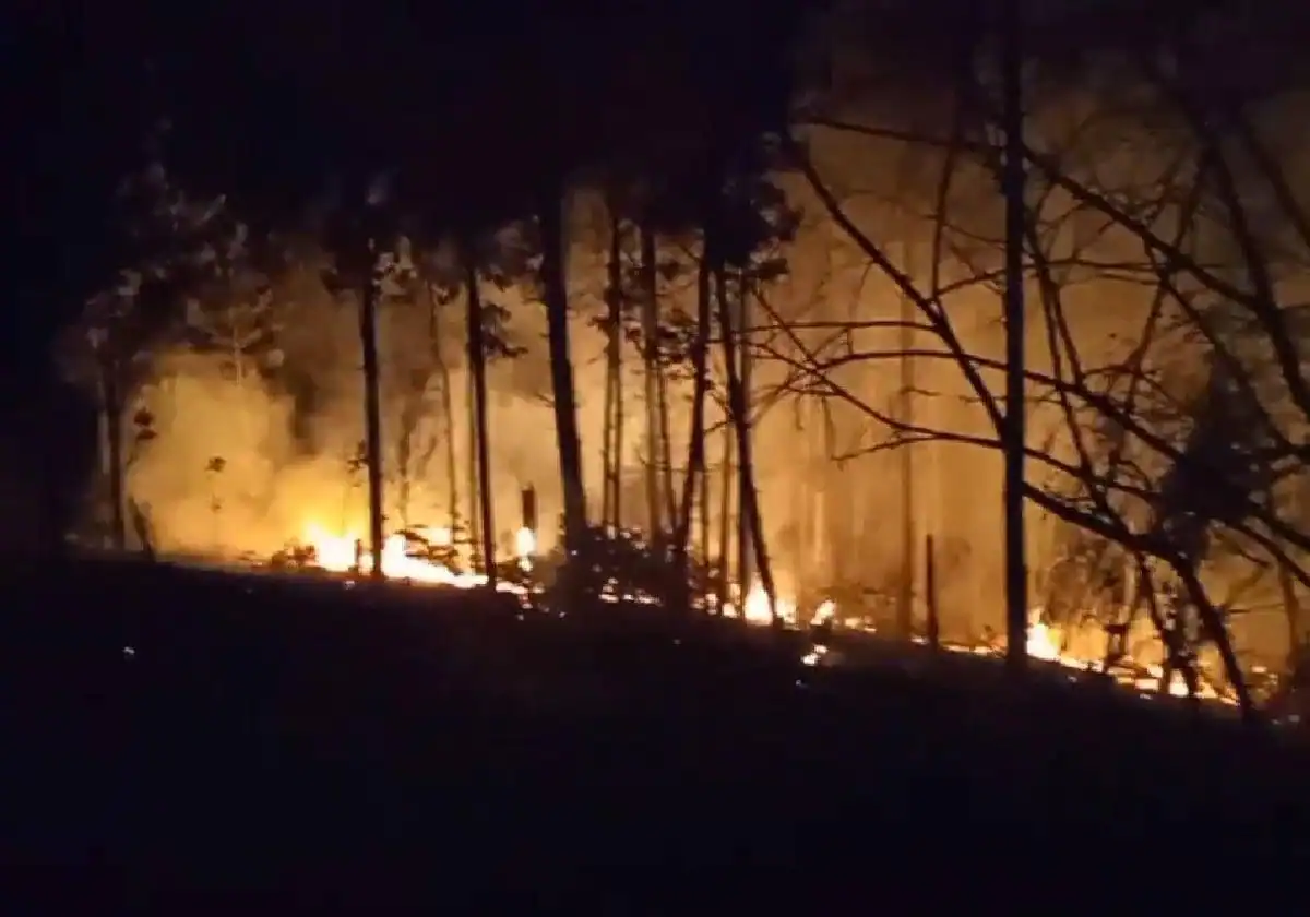 Los bomberos sofocan de madrugada un aparatoso incendio en la parroquia gijonesa de La Pedrera