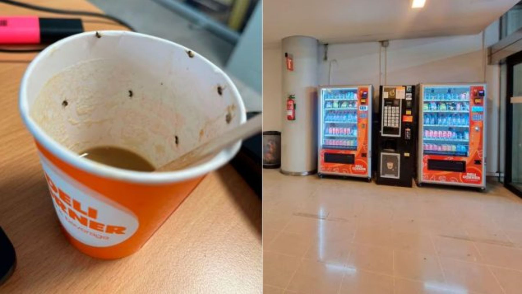 La Policía y el aeropuerto de Palma investigan la máquina de café que provocó la intoxicación por insectos