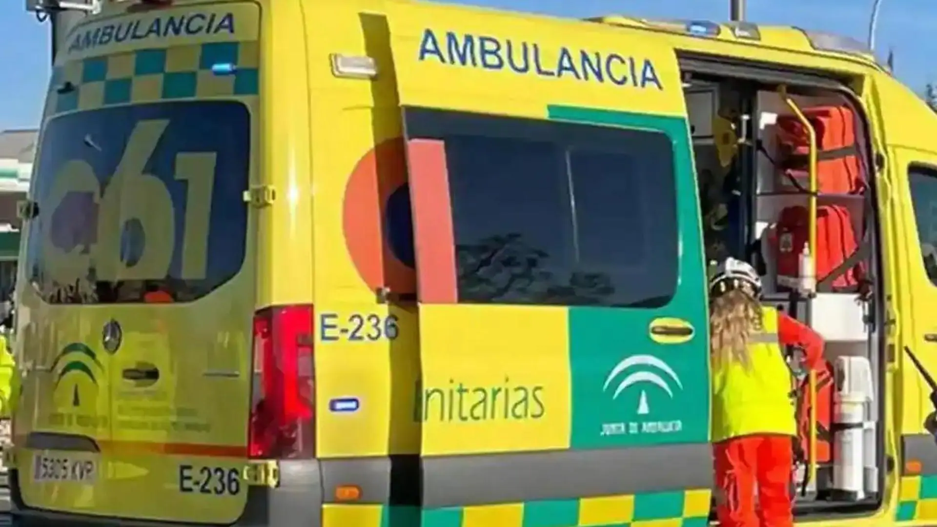 Herida una mujer de 57 años al caerle encima la rama de un árbol en Málaga capital