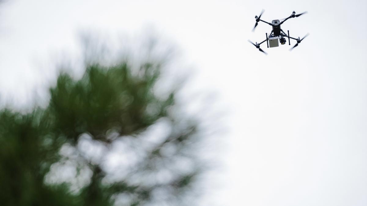 Imagen de recurso de un dron.