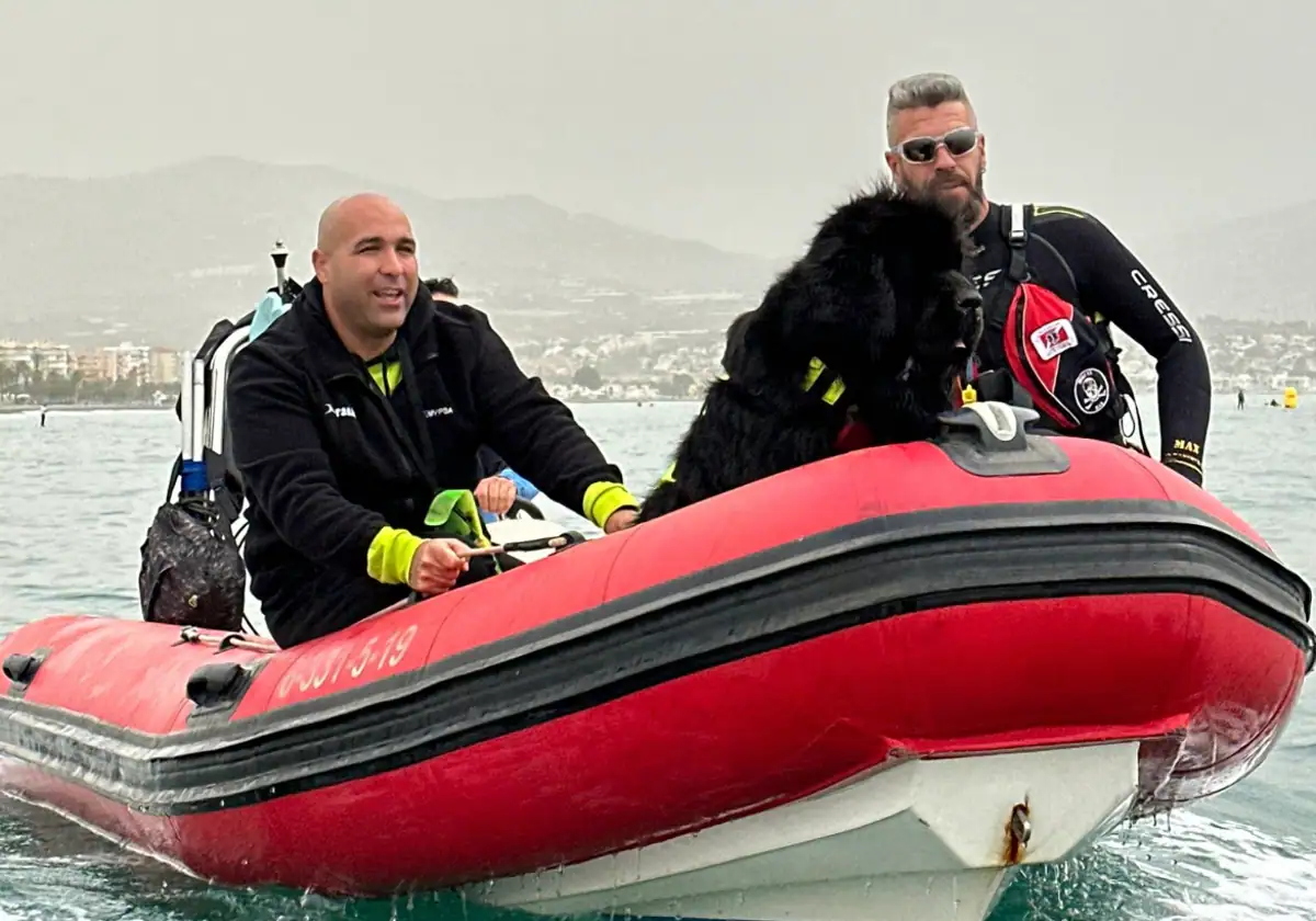 Las playas de Vélez-Málaga tendrán perros socorristas este verano