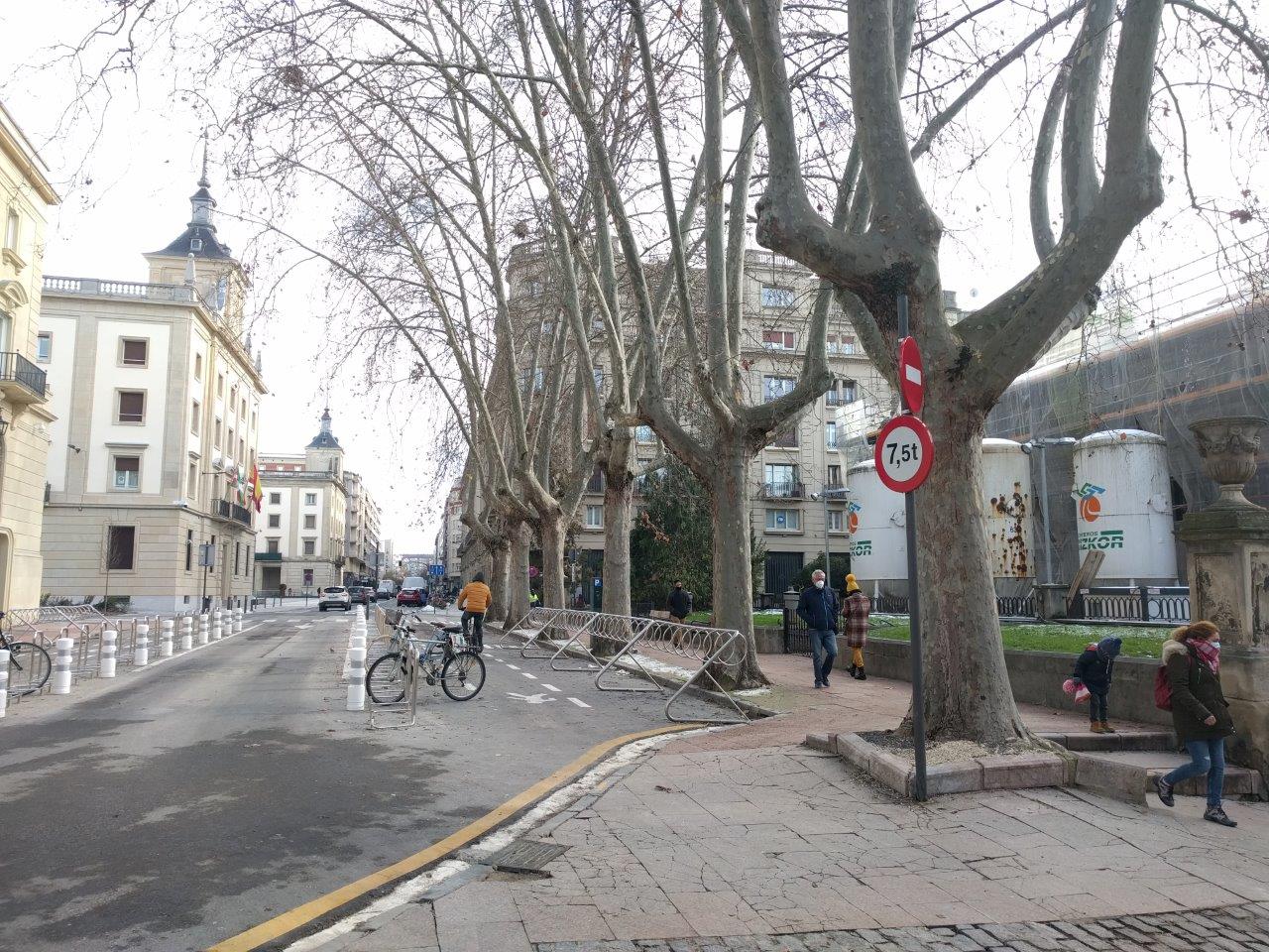Preocupación en Vitoria-Gasteiz por el deterioro de los árboles en parques y jardines: se encarga un informe para analizar la calidad del suelo