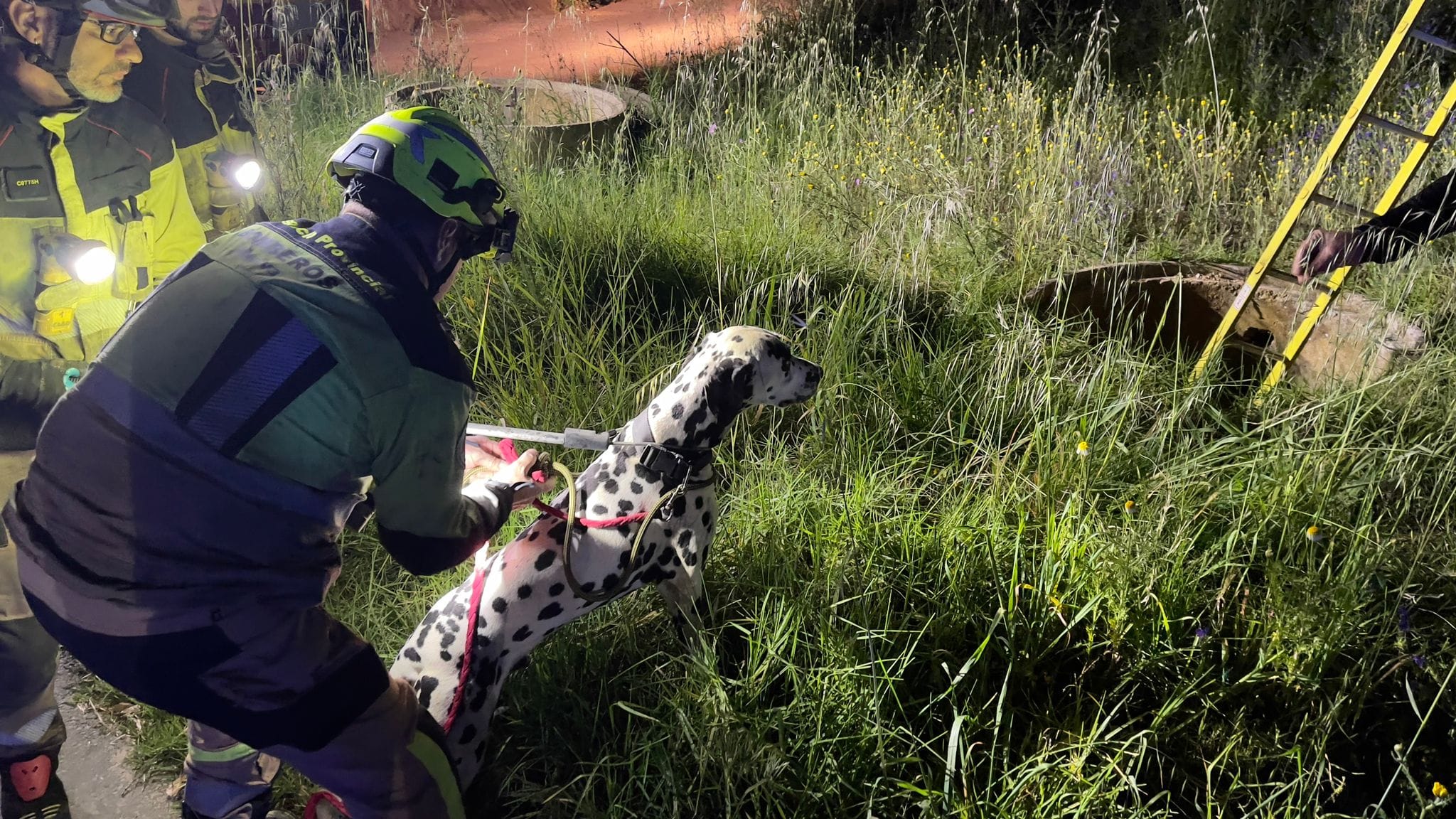 Rescatan exitosamente a un perro atrapado en una arqueta en Palos de la Frontera