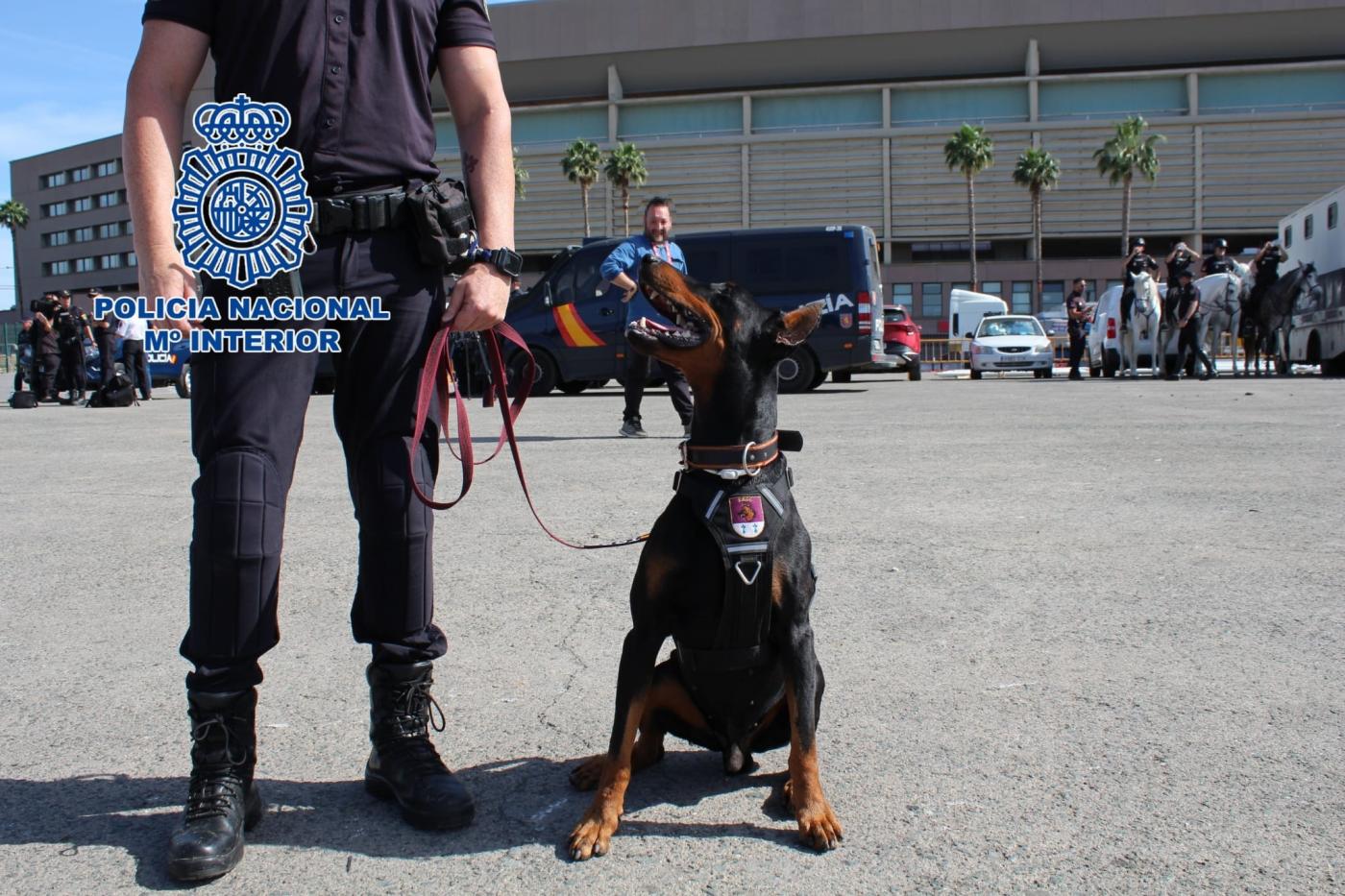 Policía en la Cartuja. -