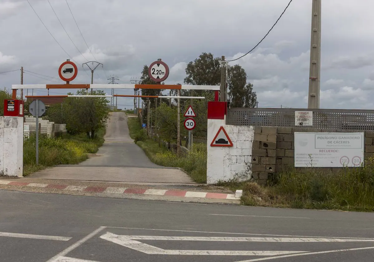 La Policía investiga el origen de la bala que hirió a un hombre en el Polígono Ganadero de Cáceres