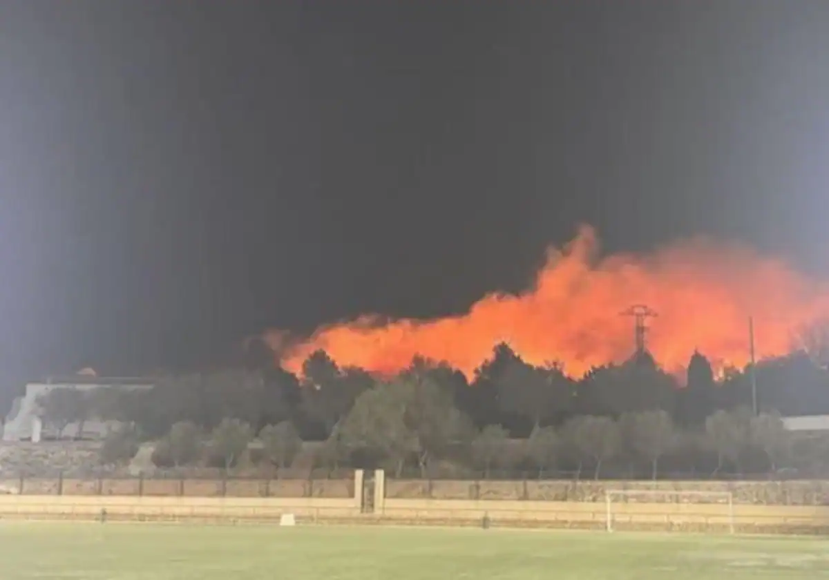 Un virulento incendio se desata en una zona de vegetación en Teulada