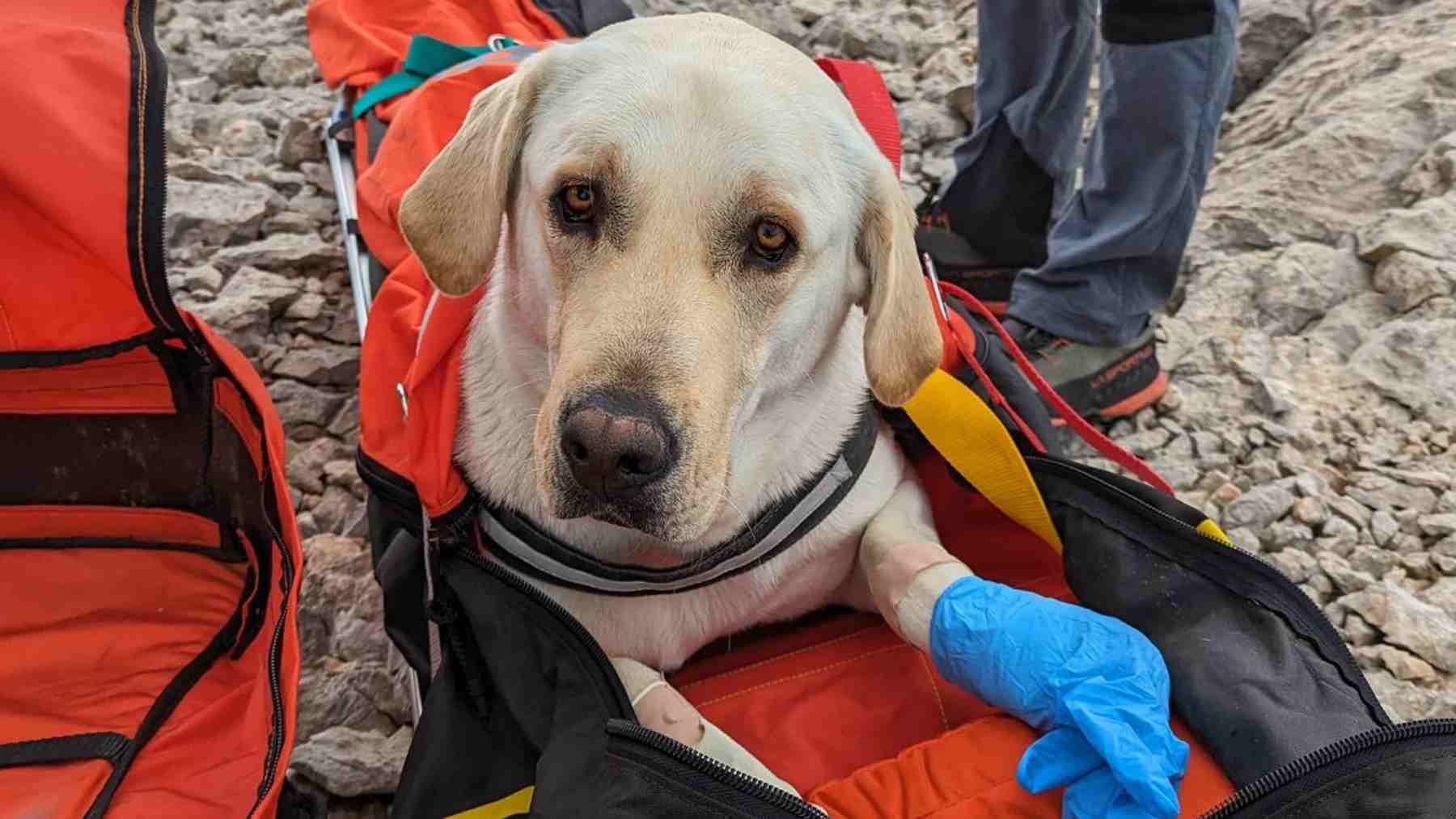 Bomberos de Mallorca rescatan a personas y a un perro en la Serra de ...