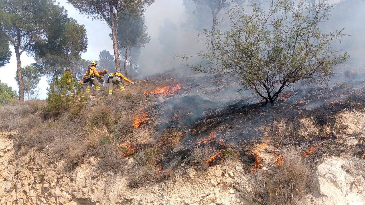Estabilizado un incendio forestal en la Cresta del Gallo