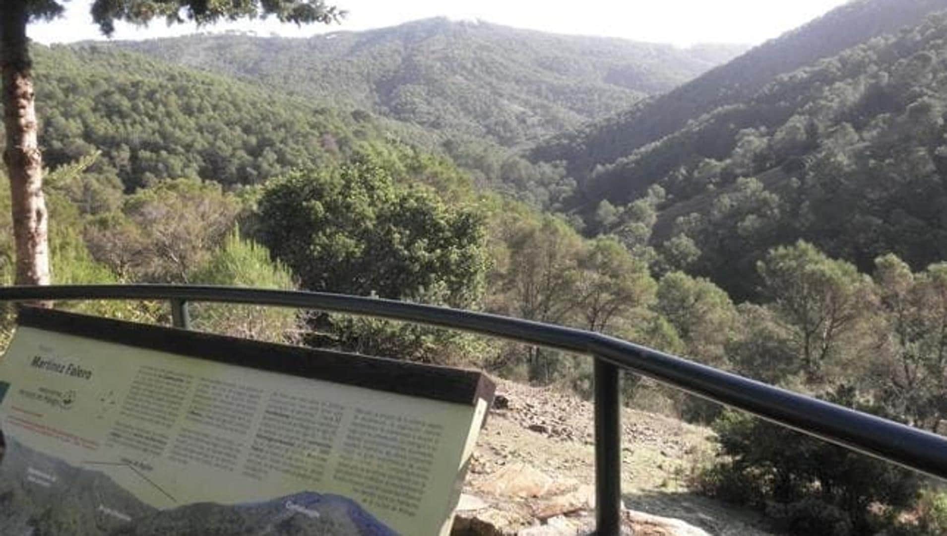 Bomberos rescatan a hombre caído en Los Montes de Málaga