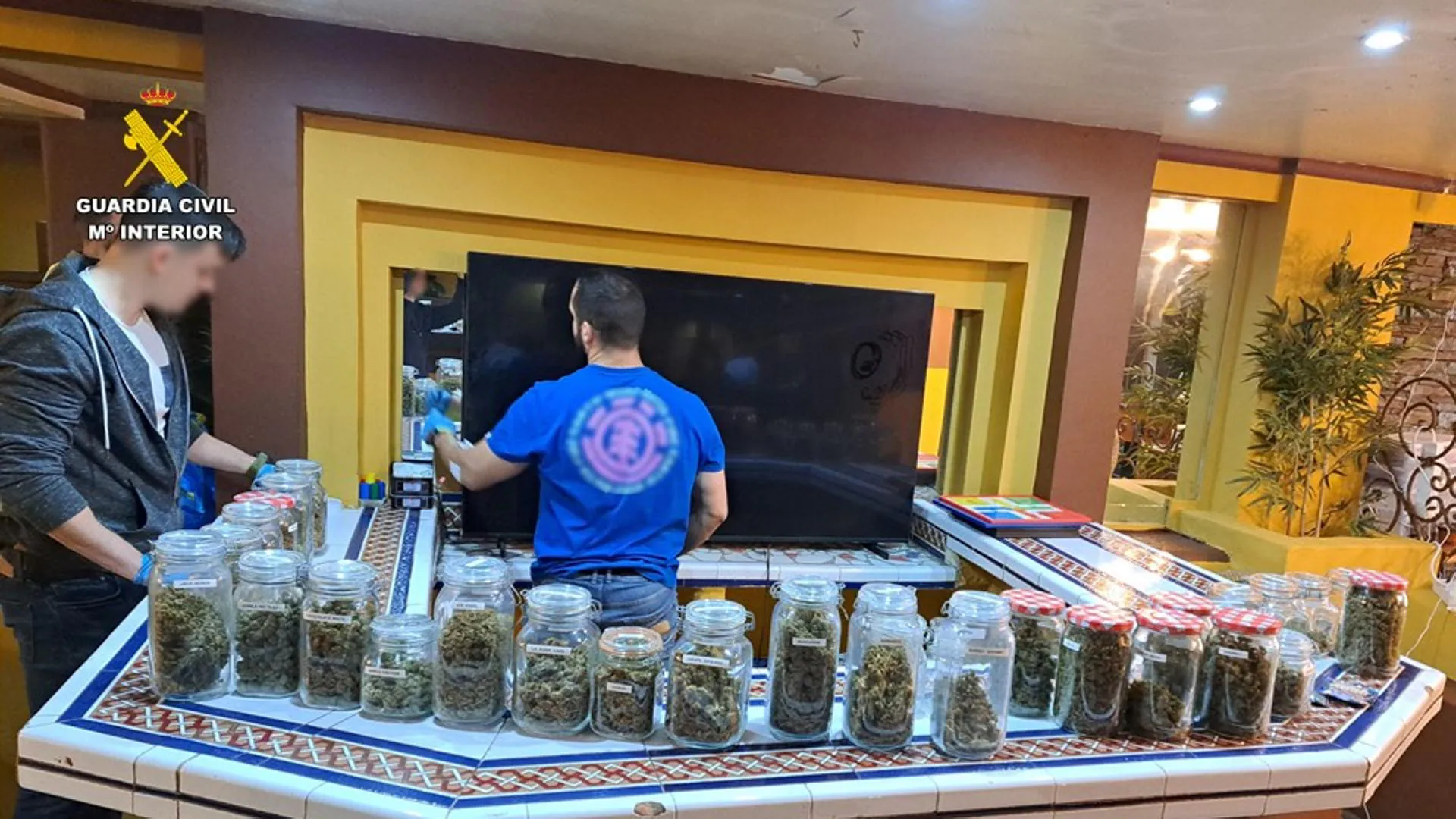 Desmantelan asociación cannábica en Torrevieja: arresto de trabajadores extranjeros y decomiso de drogas por la Guardia Civil