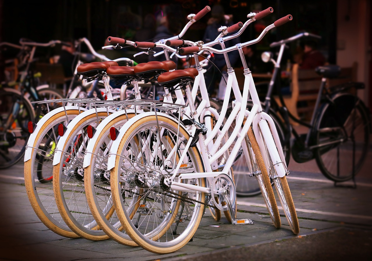 Vuelven a detener al ´super ladrón´ de bicis en Vitoria