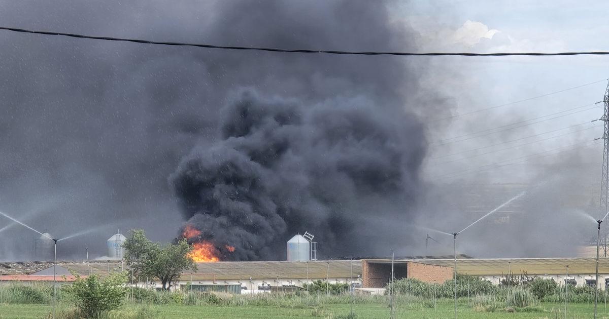Granja de pollos en Alcoletge devastada por un incendio; Bomberos de la Generalitat logran contener las llamas y evitar propagación a naves adyacentes
