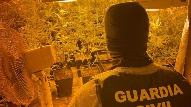 La Guardia Civil desarticula dos nuevos centros de producción de marihuana en la provincia de Granada