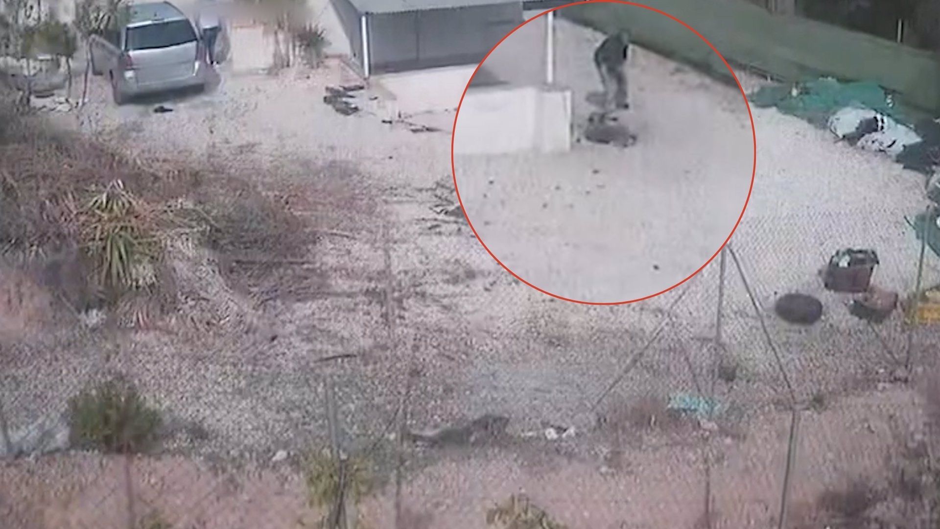 Investigan a dos personas en Calasparra tras propinar numerosos varazos a un perro