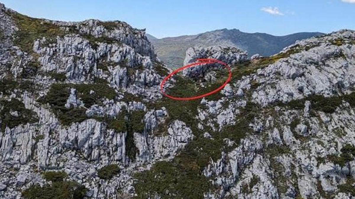 Rescate en la Sierra de la Serrona de Rabanal de Luna, en el municipio de Sena de Luna.