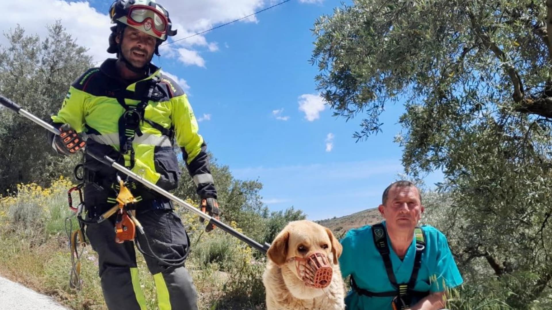 Rescatan sano y salvo a un perro mastín que cayó a un barranco en Colmenar