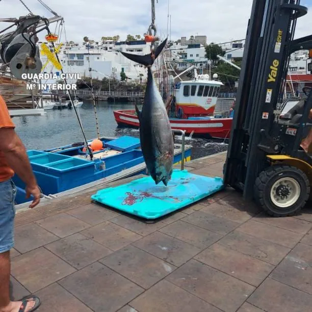 Denunciadas 15 embarcaciones recreativas por pesca ilegal del atún en aguas de Lanzarote