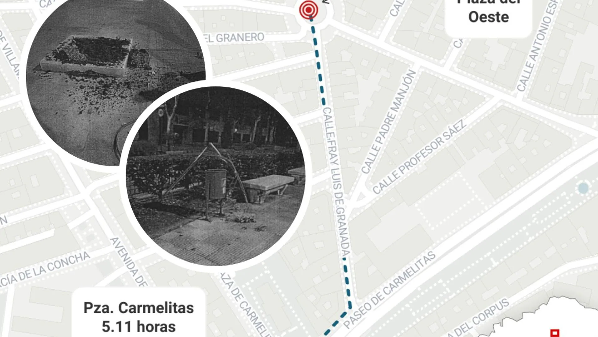 Pillados con dos árboles al hombro tras arrancarlos en pleno centro de Salamanca