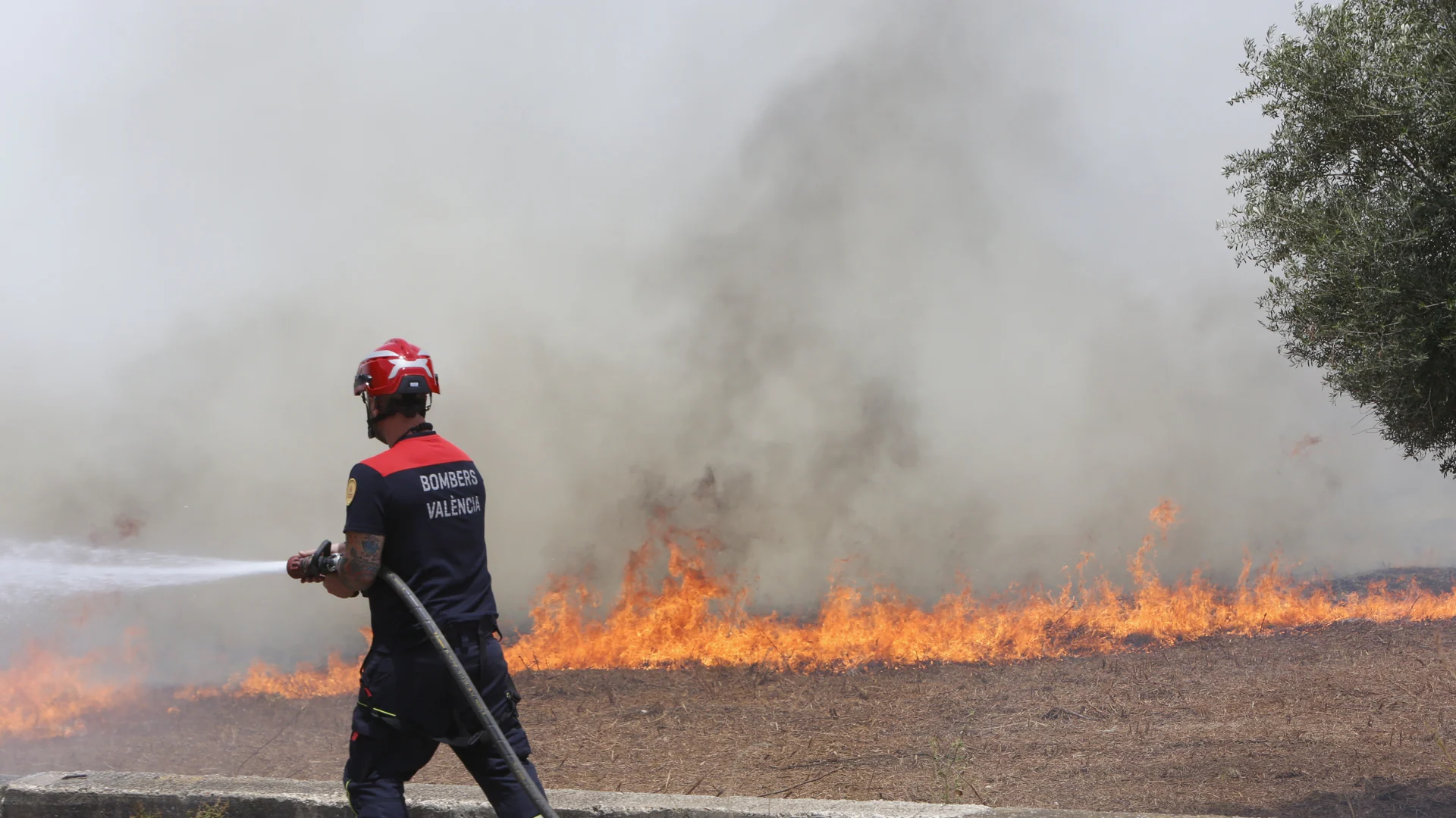 Los bomberos sofocan un incendio de matorrales en Valencia