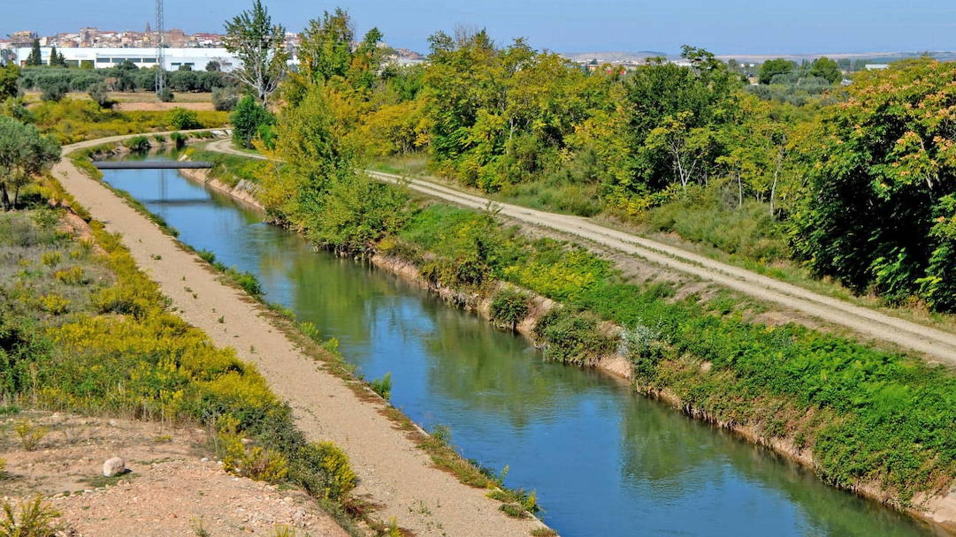 Bomberos del CEIS Rioja rescatan a cervatillo atrapado en el canal de Lodosa en Calahorra