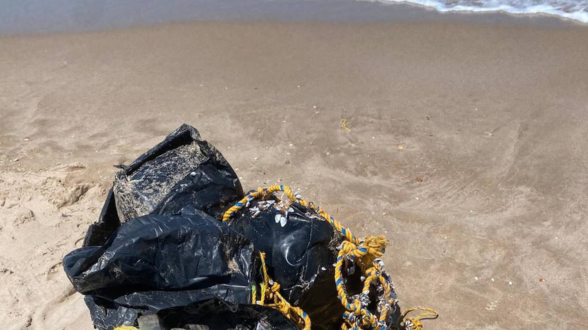 La Policía Local interviene 120 kilos de cocaína en la playa de El Saler