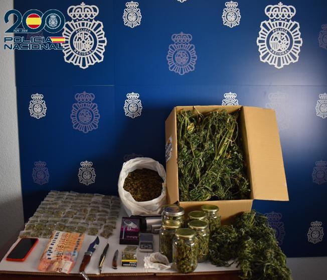 Desmantelado importante punto de cultivo y venta de marihuana en Tomelloso