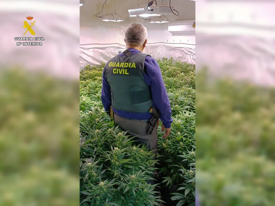 Desmantelan banda familiar de tráfico de drogas tras denuncia de robo de paquete en Villena