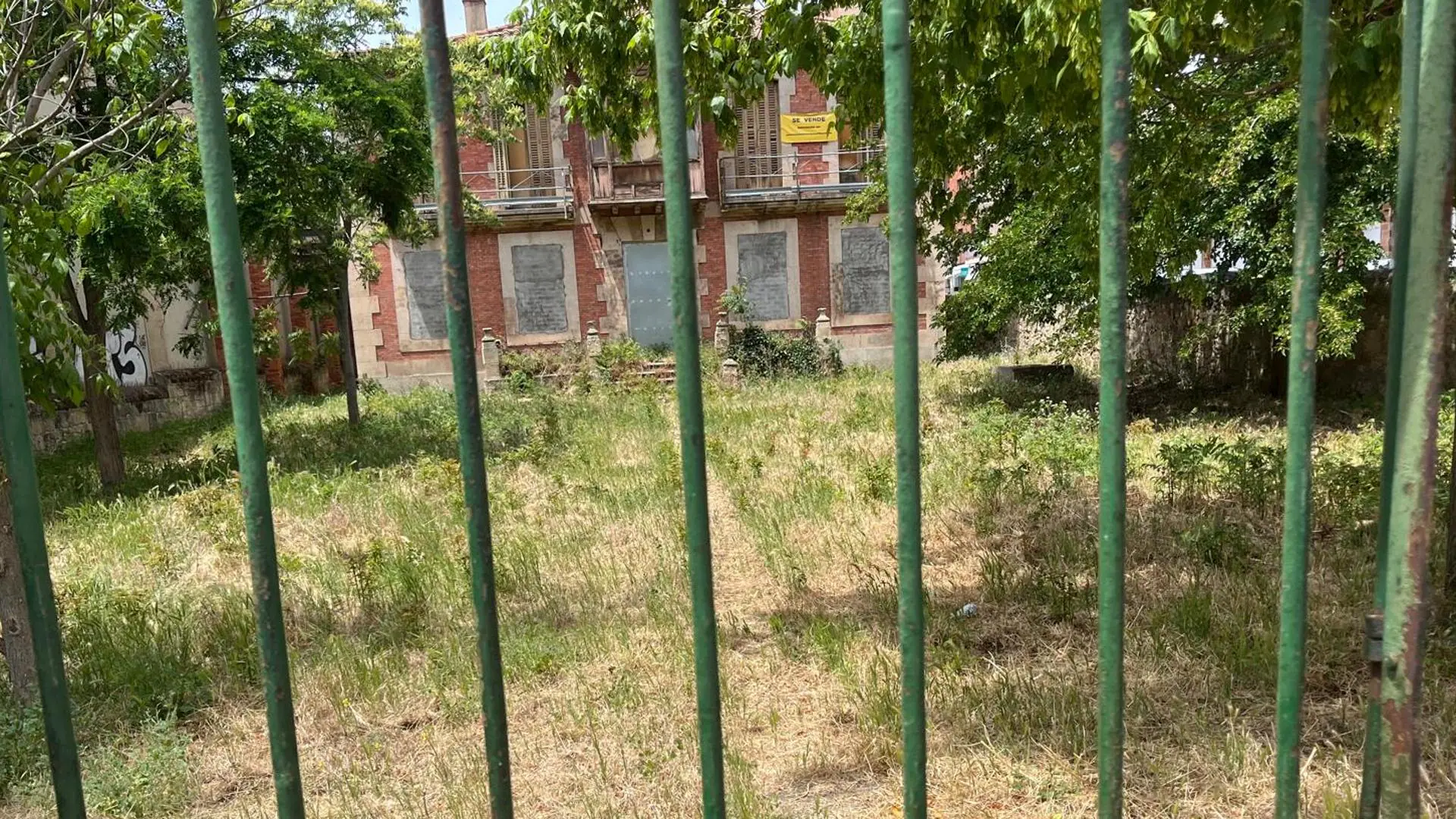Insalubridad, gatos y vegetación incontrolada: el último informe negativo del céntrico palacete en ruinas