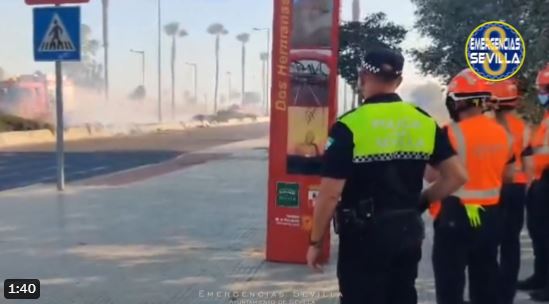 Extinguido el incendio de pastos de "gran extensión" del Pítamo en Dos Hermanas