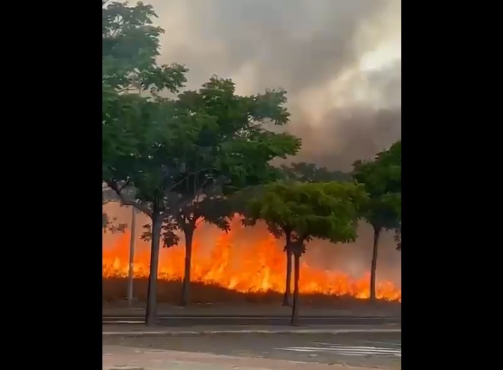 Incendio cerca de Parque Huelva Empresarial genera alarma entre trabajadores y conductores
