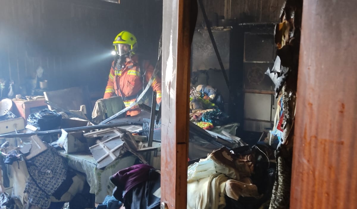 Incendio en Ayamonte: cuatro gatos mueren en vivienda en llamas; rescatan a dos perros y otro gato