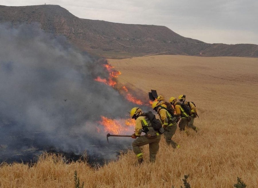 Incendio forestal en Alcalá de Henares: controlado tras la intervención de 13 dotaciones terrestres y 6 aéreas de bomberos