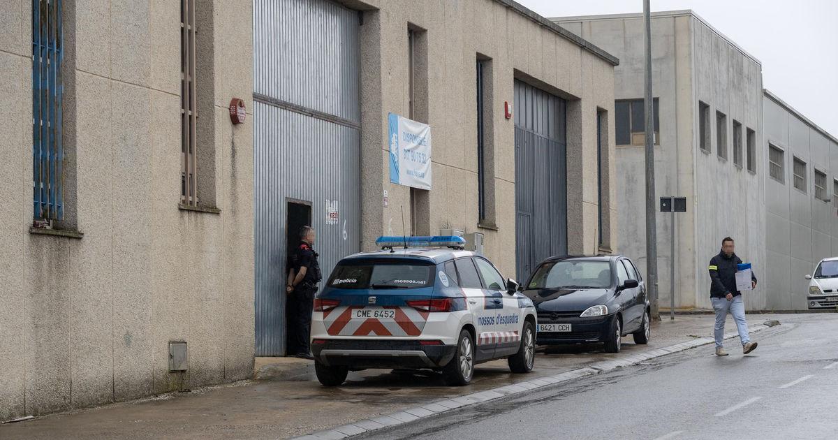 Cae en Tàrrega y Puiggròs una red de tráfico de hachís a gran escala