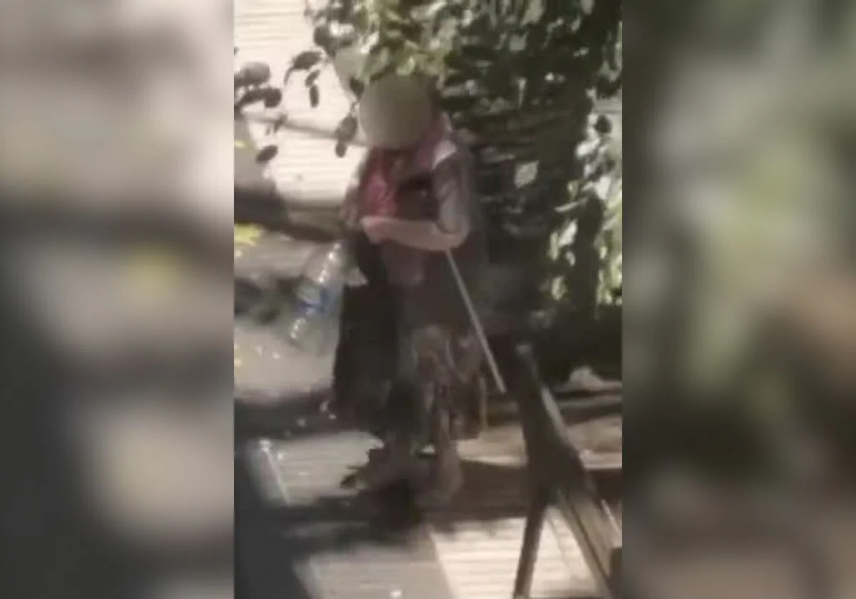 Pillan a una señora alimentando a palomas en Las Palmas de Gran Canaria
