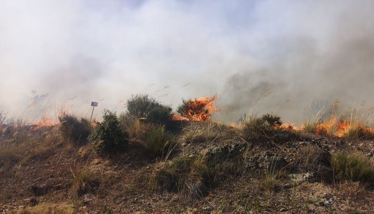 Nuevo incendio en Zamora: el fuego consume San Cristóbal de Entreviñas y aún se desconocen las causas