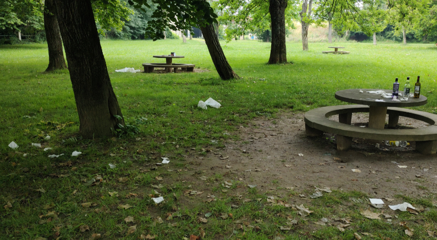 Parque de Vitoria convertido en basurero: ciudadanos guarros y desidia municipal desatan indignación