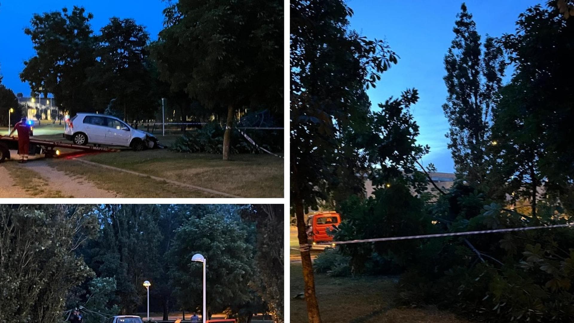 Se estrella y derriba un árbol en pleno parque de Salamanca