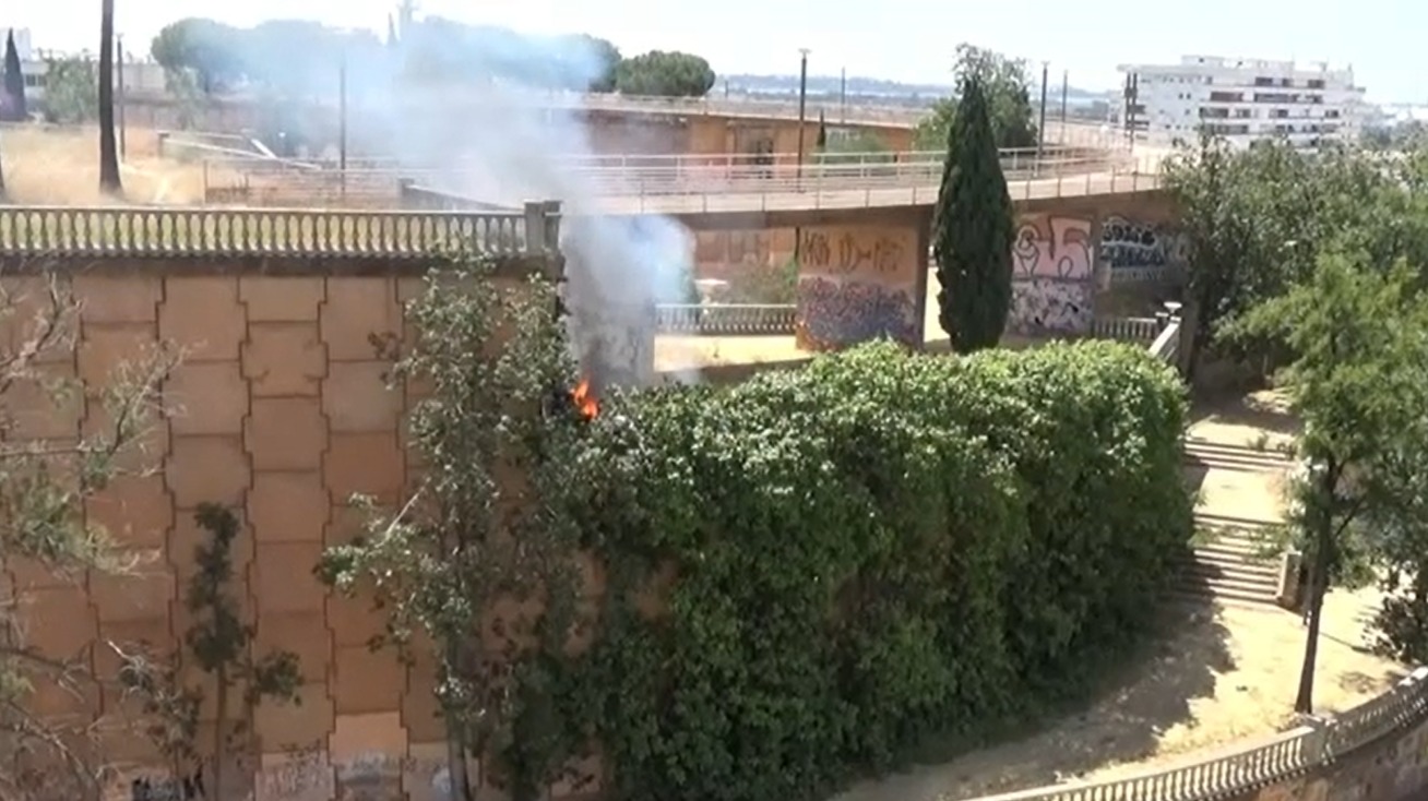 Susto en la capital: sofocan un incendio en el Parque Alonso Sánchez