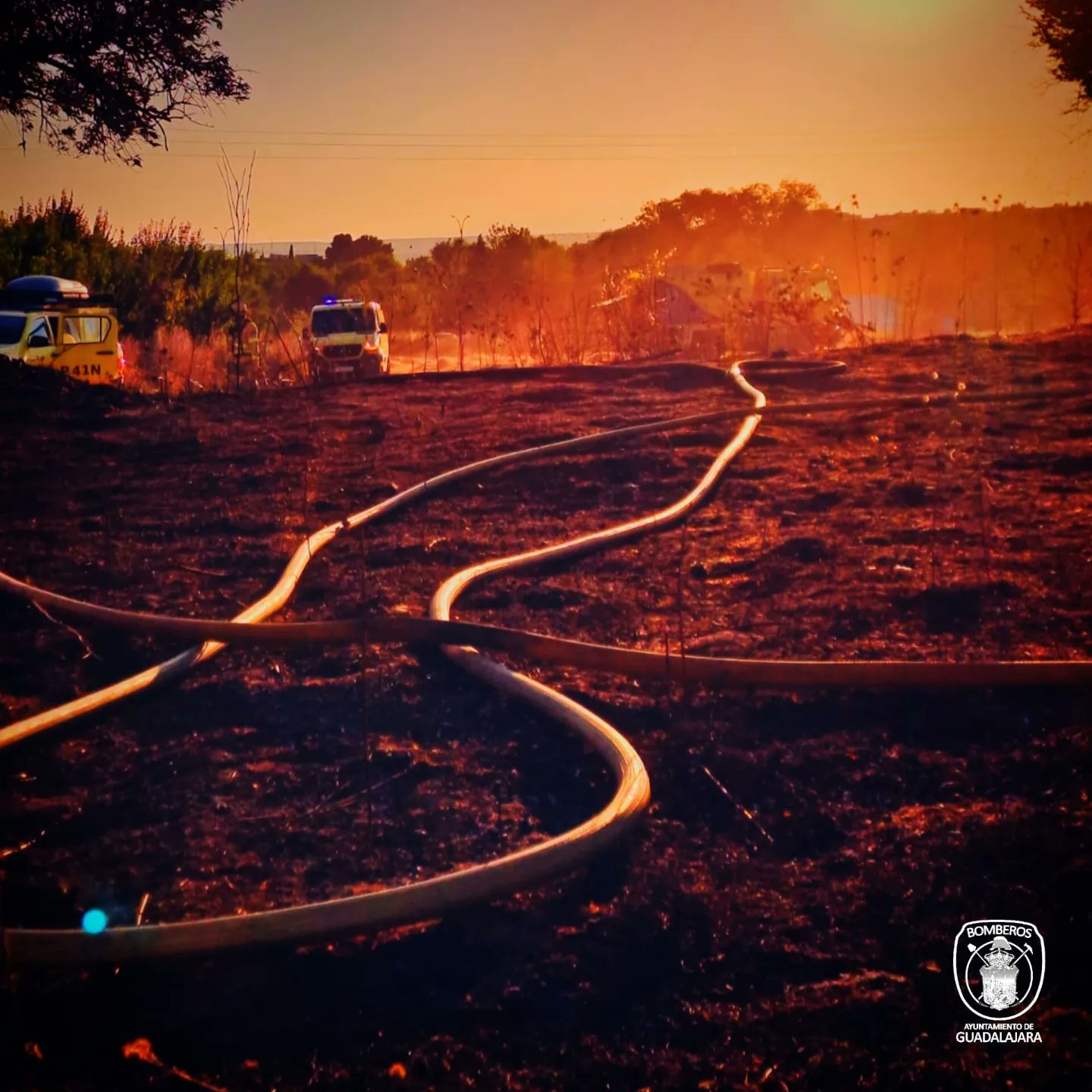 Incendio junto a la A-2: VEA EL VÍDEO
