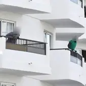 Detienen a un inmigrante irregular acogido en un hotel de Guardamar por agredir sexualmente a una trabajadora