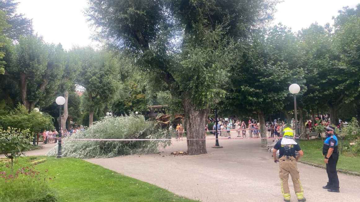 Susto en la Dehesa por la caída de una rama de grandes dimensiones