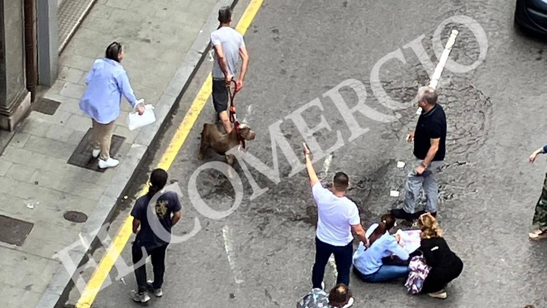 Brutal ataque de un pitbull sin bozal a un gijonés y a su perro