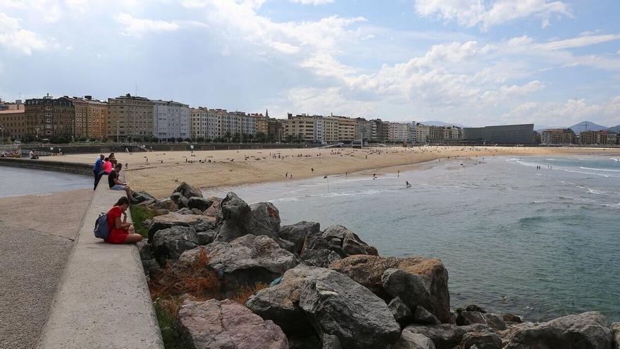 Avistan cuatro ejemplares de carabelas portuguesas en la playa de la Zurriola
