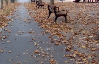 Vitoria alerta que "caen más hojas" de lo normal