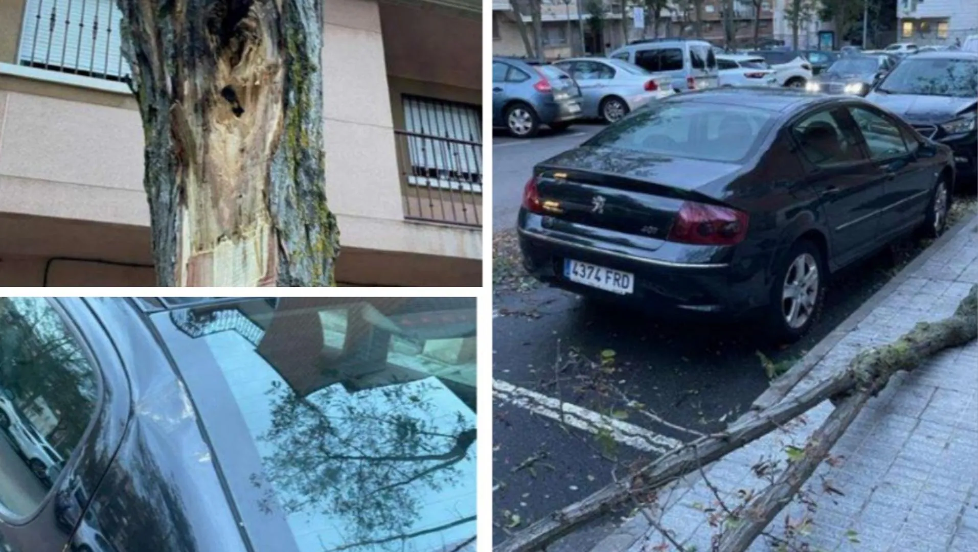El ayuntamiento paga chapa y pintura de un coche afectado por un temporal
